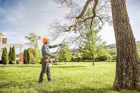 Medford, OR Tree Care Company